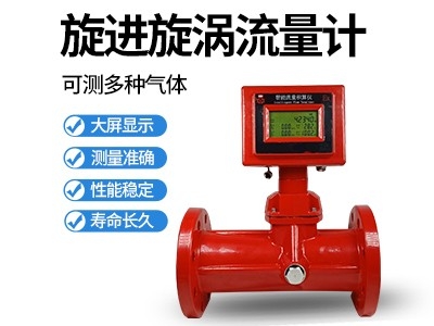 旋進(jìn)旋渦流量計